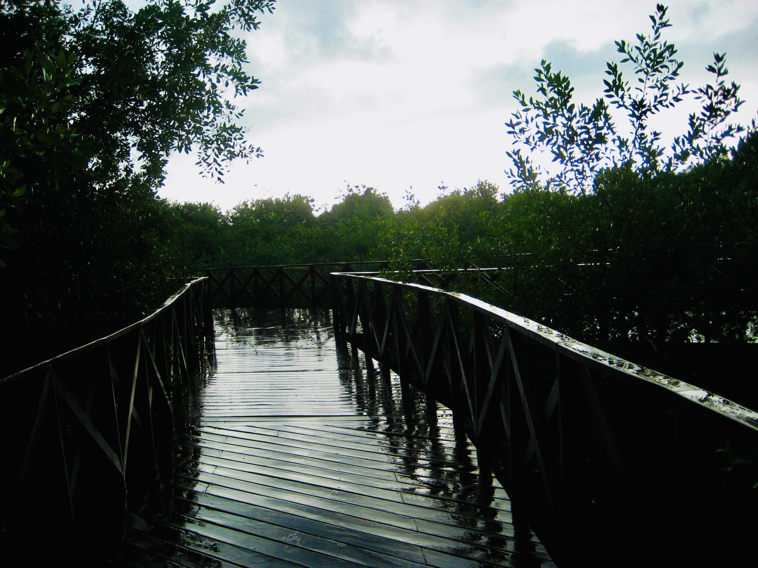 Wet resort path