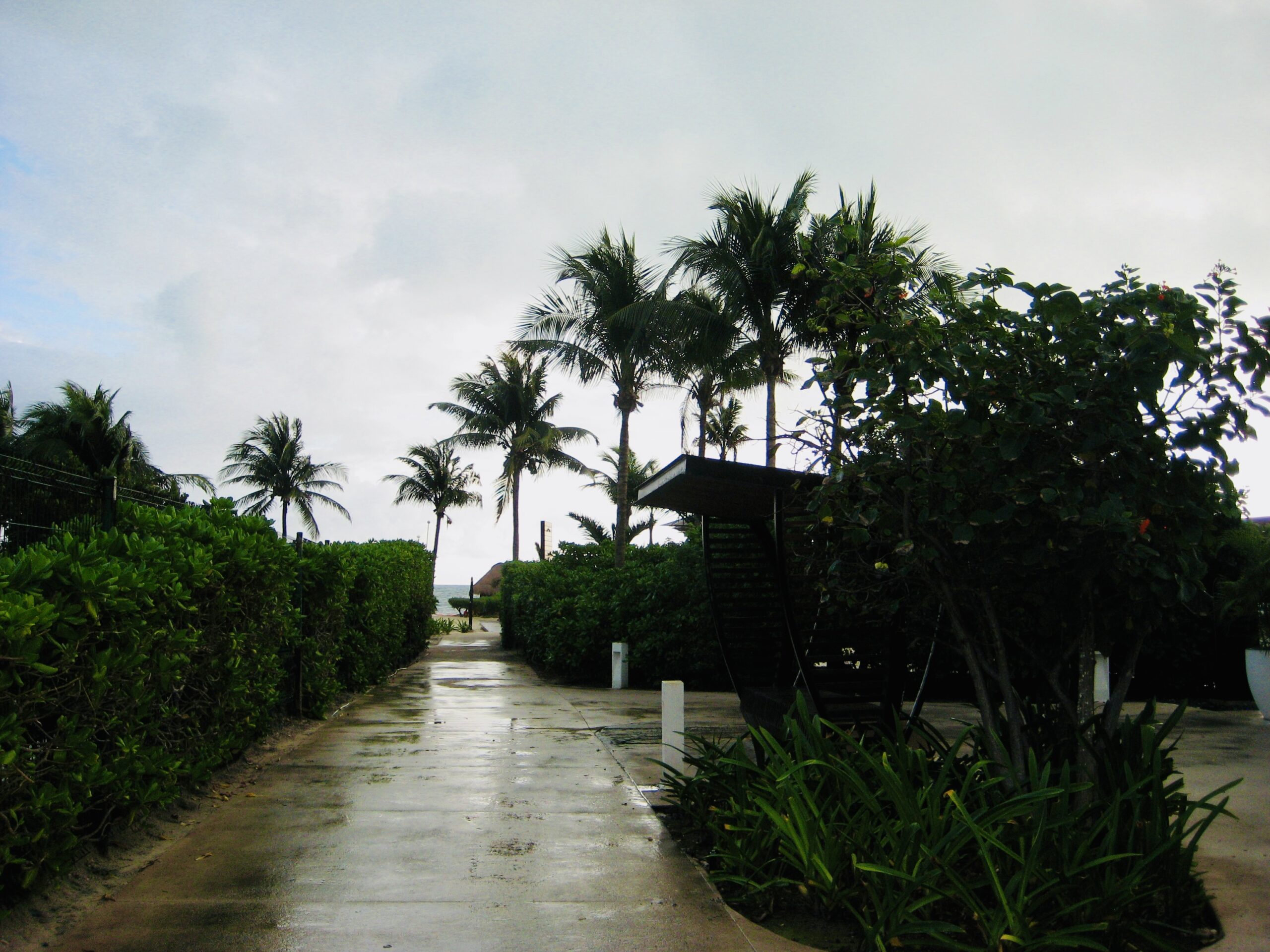 Wet beach