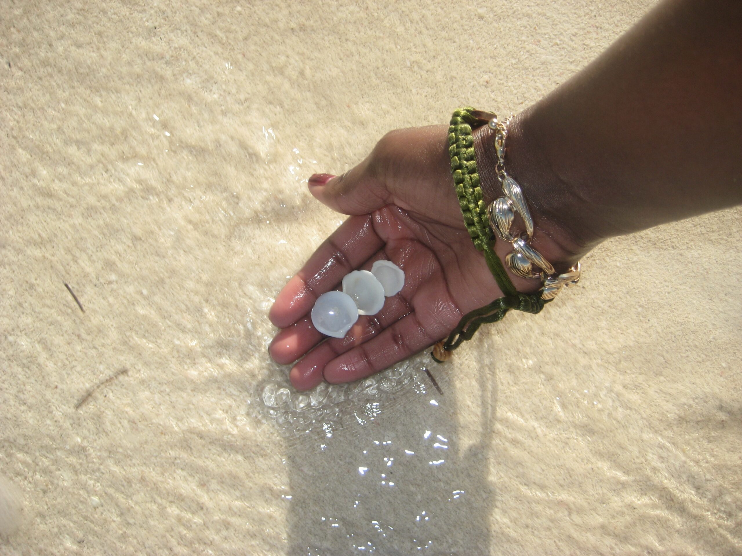 Author with seashells in hand at the beach